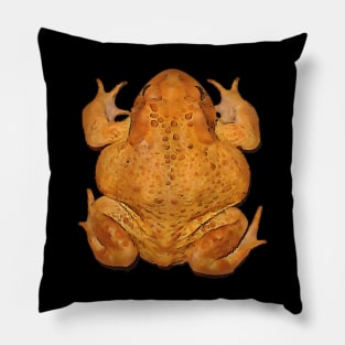 Anatomy of A Toad Black Outline Art Pillow