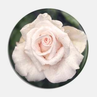 Rose Pin