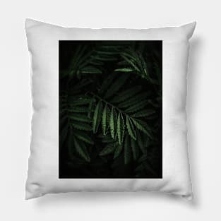 FERN Pillow