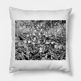 Monochromatic Bokeh Pillow