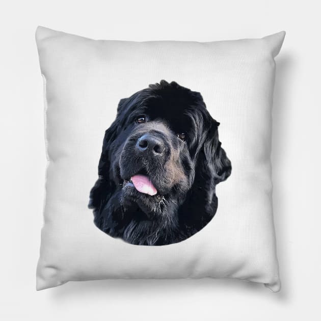 Newfoundland Puppy Dog Very Cute Pillow by ElegantCat