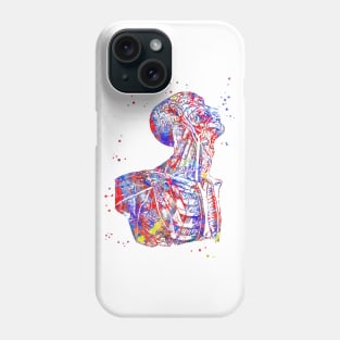 Human anatomy, human body, torso Phone Case