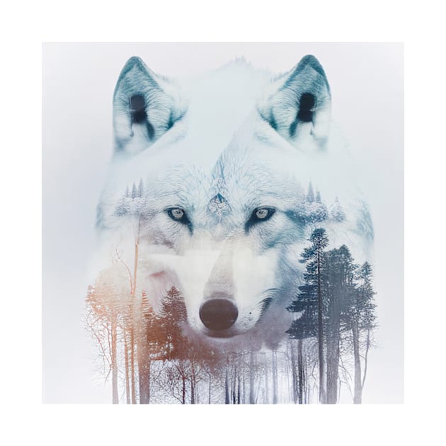 Wolf Nature Outdoor Imagine Wild Free by Cubebox