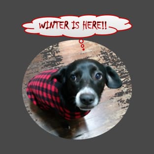 Puppy Winter is Here T-Shirt