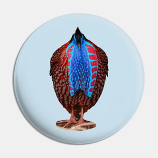 Show off Pheasant Pin