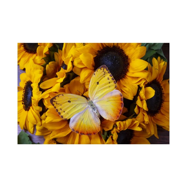 Large Yellow Butterfly On Small Sunflowers by photogarry