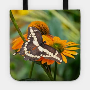 Brown and Cream Swallowtail Butterfly on Orange Coneflower Tote