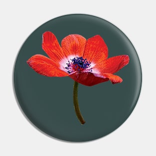 Red Poppy Closeup Pin