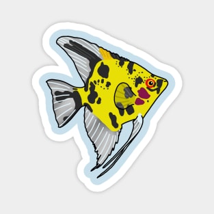 Koi Angelfish Magnet