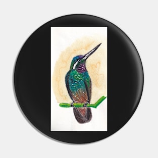 Hummingbird Pin