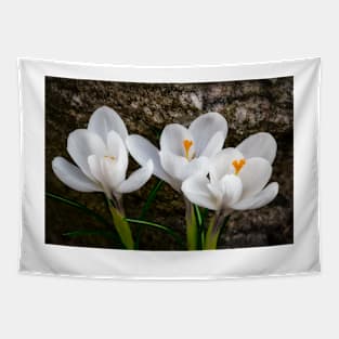 Three Crocus Tapestry