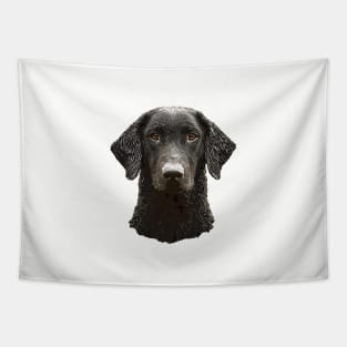 Curly Coated Retriever Tapestry