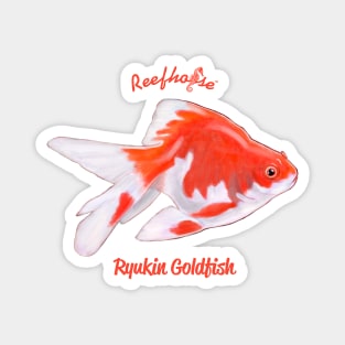 Ryukin Goldfish 2 Magnet