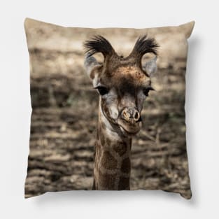 Baby Giraffe Pillow