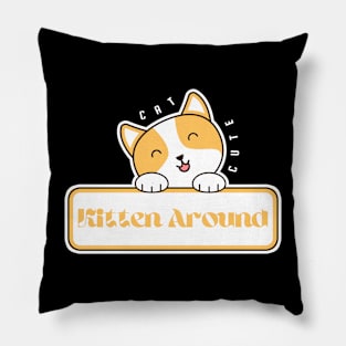 kitten around Pillow