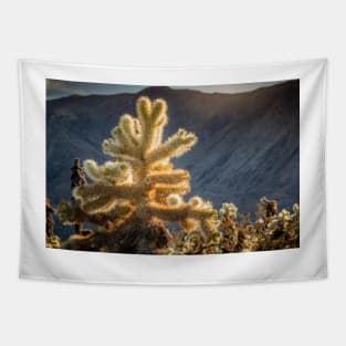 Glowing Cholla Cactus Tapestry