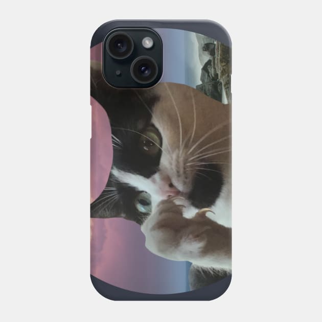 Funny Cat Phone Case by Aeriskate