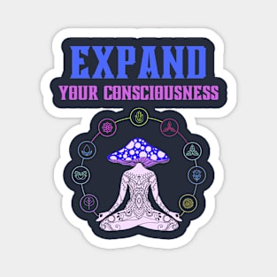 Expand Your Consciousness Magnet