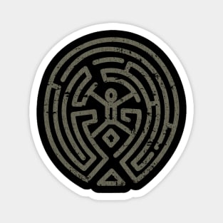 The Maze Magnet