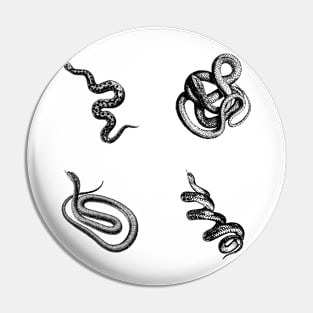 Snake vibes Pin