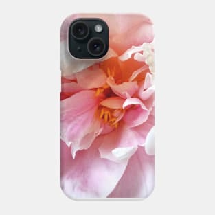 Closeup of Pale Pink Peonies Phone Case