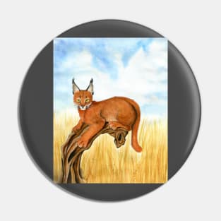 Caracal Watching You - Background Pin