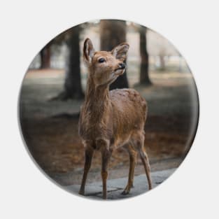 Sika Deer Pin