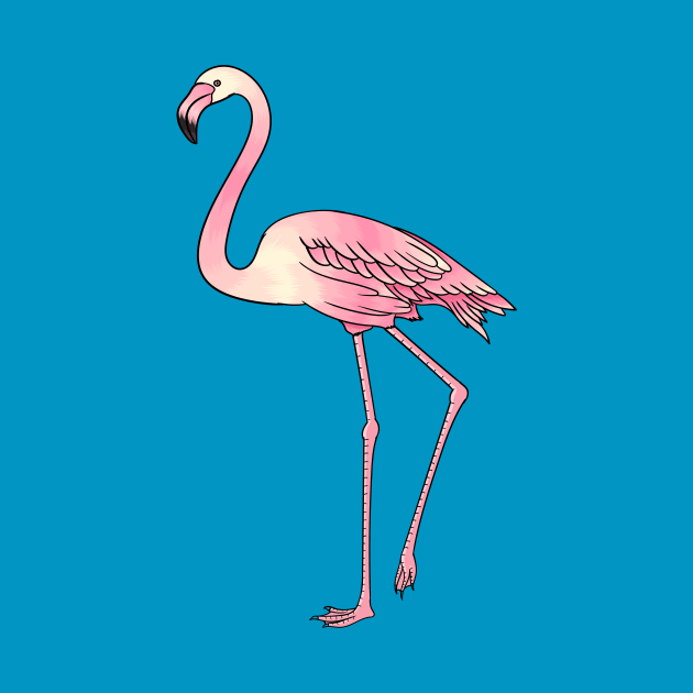 Flamingo bird cartoon illustration by Cartoons of fun