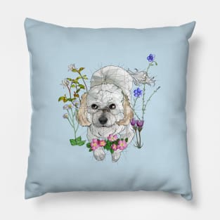 Havanese Pillow