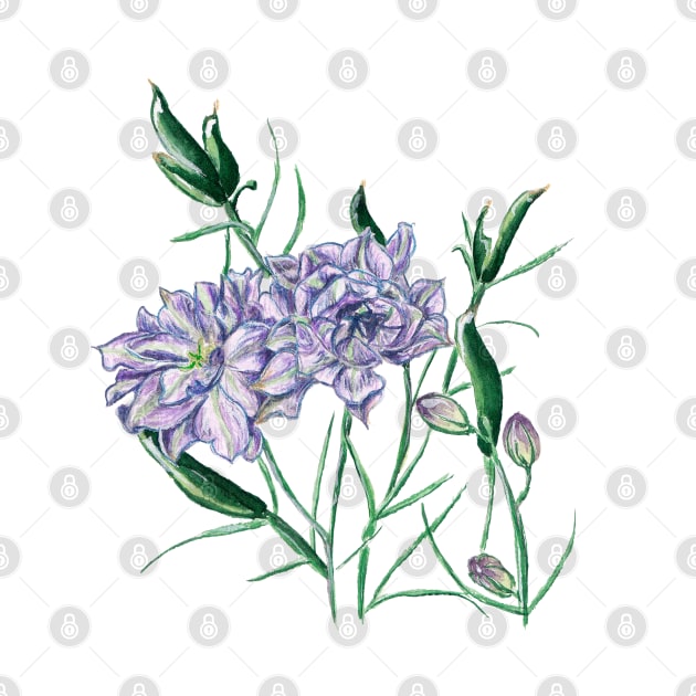 Delphinium terry by feafox92