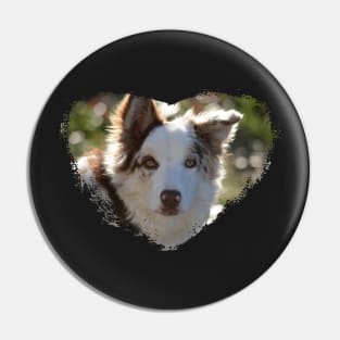 Love Border Collies Pin