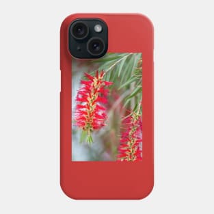 Weeping Bottlebrush Red Blooms Phone Case