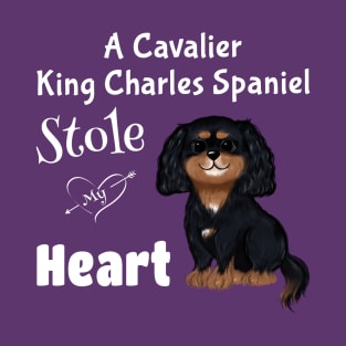 My Black and Tan Cavalier King Charles Spaniel Stole My Heart T-Shirt