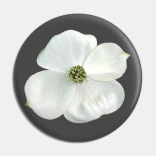 White Dogwood Flower Close-up Photo Pin