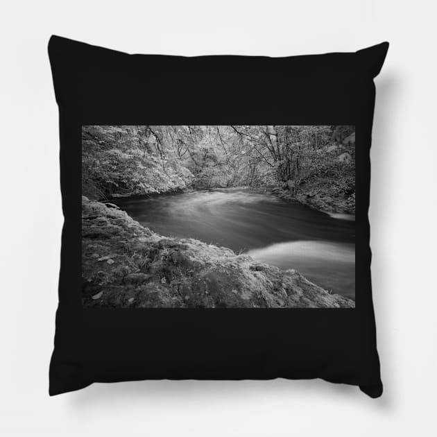 Afon Pyrddin, Pontneddfechan, Brecon Beacons National Park, Wales Pillow by dasantillo