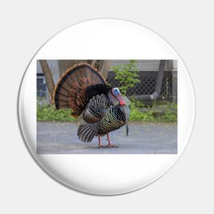 Urban Wild Turkey Pin