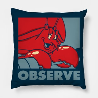 Observe! Pillow