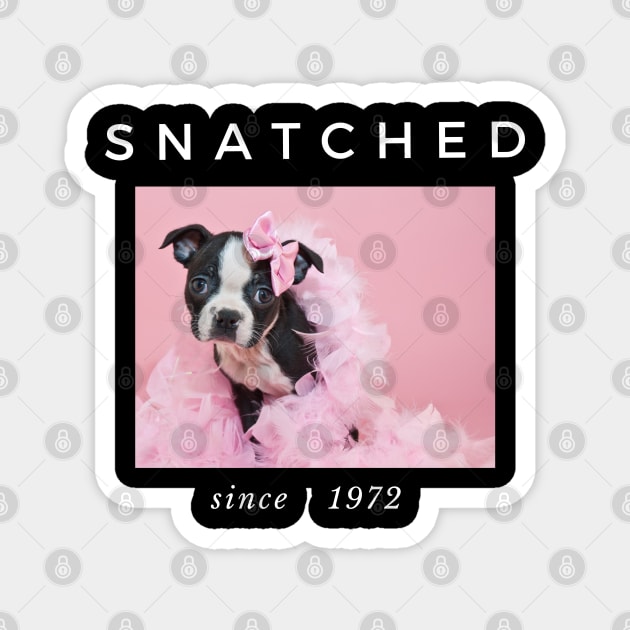 1972 Millennial Snatched Boston Terrier Dog Lover Magnet by familycuteycom