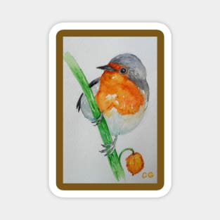 Beautiful Robin - bird art Magnet