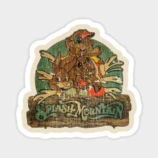 the splash mountain VIntage Magnet