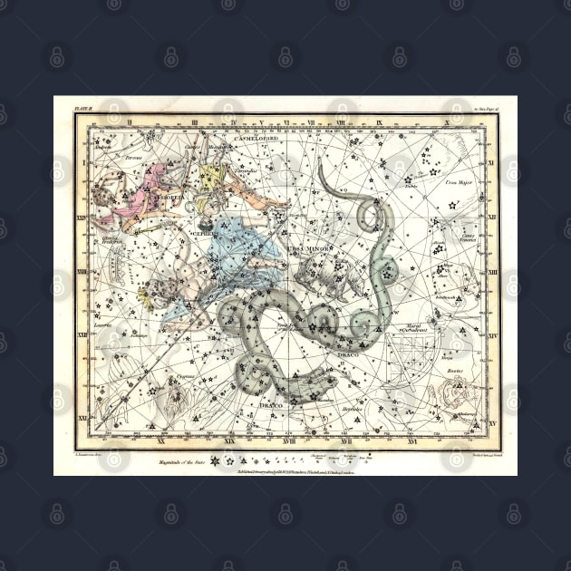 Celestial Atlas - Cepheus, Dragon -Alexander Jamieson by forgottenbeauty