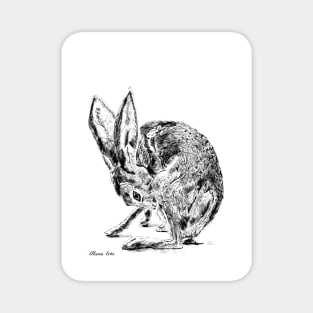 Rabbit Magnet