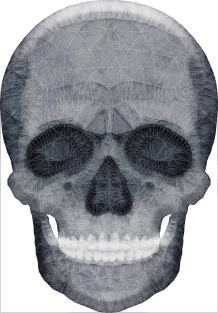 Abstract Skull Magnet