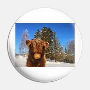 Scottish Highland Cattle Calf 1704 Pin