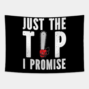 Just The Tip I Promise. Tapestry