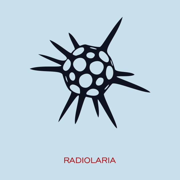 Radiolaria by masha