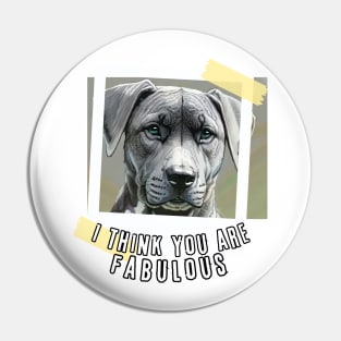 I think you are Fabulous (serious doggie face) Pin