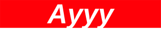 Ayyy // Red Box Logo Magnet