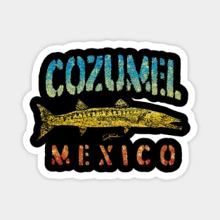 Cozumel, Mexico, Great Barracuda Magnet