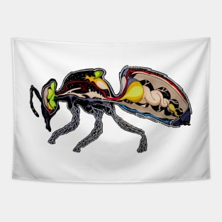 Honey Bee - Dissection Tapestry